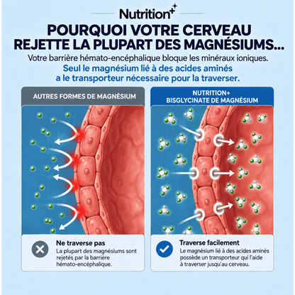 Nutrition⁺